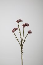 Kunstbloem - Protea - topkwaliteit decoratie - 2 stuks - zijden bloem - bruin - 61 cm hoog