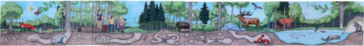 Beleduc Vloerpuzzel Ontdek Het Bos 40 Stukjes