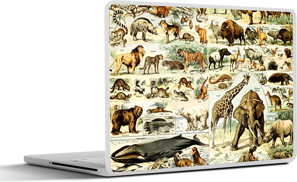 Laptop sticker - 14 inch - Dieren - Giraffe - Leeuw - 32x5x23x5cm - Laptopstickers - Laptop skin - Cover