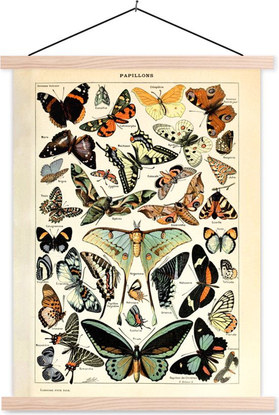 Posterhanger incl. Poster - Schoolplaat - Adolphe Millot - Vlinder - Dieren - Insecten - Vintage - 120x160 cm - Blanke latten