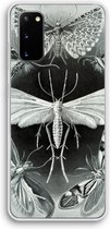 Case Company® - Samsung Galaxy S20 hoesje - Haeckel Tineida - Soft Cover Telefoonhoesje - Bescherming aan alle Kanten en Schermrand