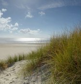Fotobehang duinen en strand Ameland 250 x 260 cm