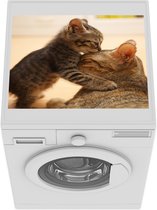Wasmachine beschermer mat - Een kitten met zijn moeder - Breedte 55 cm x hoogte 45 cm