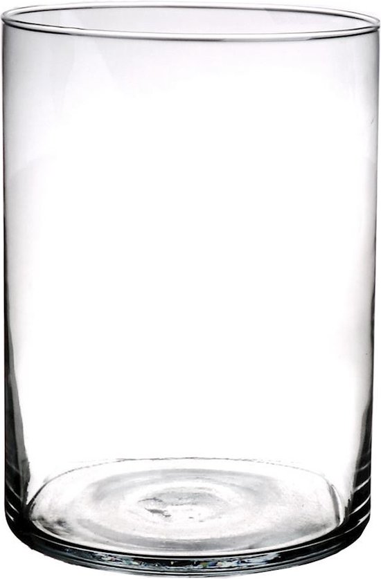 Cilinder vaas/vazen van glas D18 x H25 cm transparant - Transparant - Vazen/ vaas -... | bol
