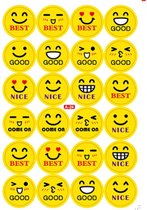 10 velletjes beloningstickers emoji (240 stickertjes)