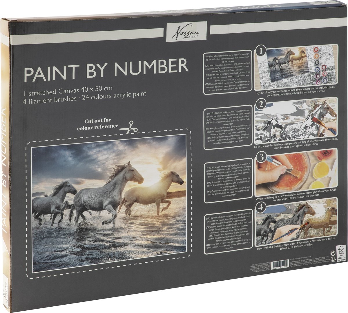 Nassau Fine Art Peinture par numéro, Thema Cheval