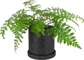 QUVIO Flowerpot - Cache-pot pour l'intérieur - Cache-pot - Cache-pot - Pot - Pots de Bloem - Jardinage - Fleurs - Céramique - Zwart avec blanc - 18 x 18,5 cm (dxh)