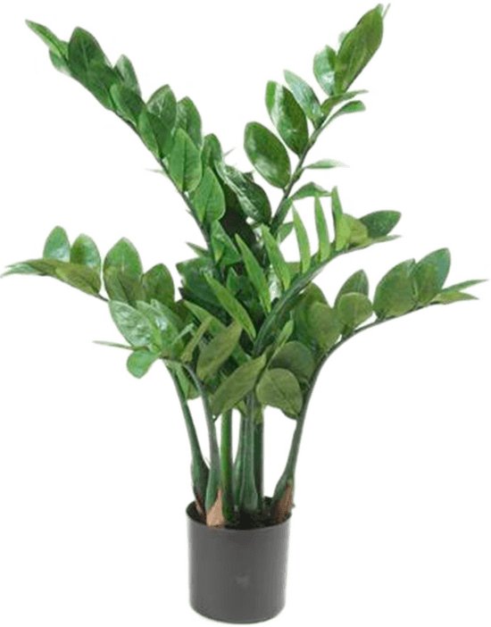 <strong>Kunstplant Zamiculcas 70 cm</strong>