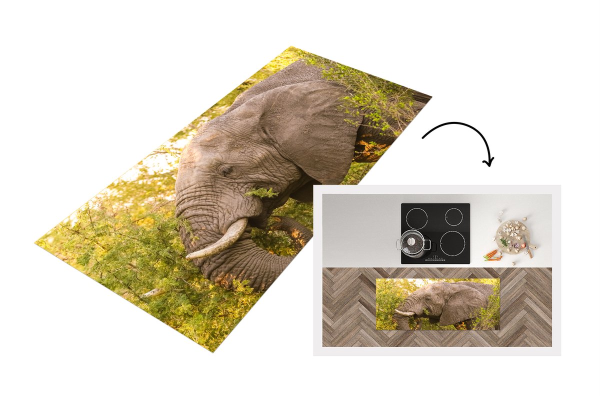 KitchenYeah Keukenloper - Loper keuken - Olifant - Safari - Afrikaans - 120x50 cm - Keukenloper vinyl Multicolor