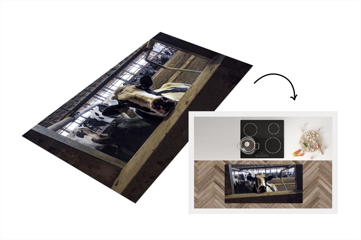 KitchenYeah Keukenloper - Loper keuken - Koe - Stal - Boerderij - 120x60 cm - Keukenloper vinyl Multicolor