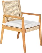 DKS - Tuinstoel Egon armstoel teak - viro wicker incl. kussen