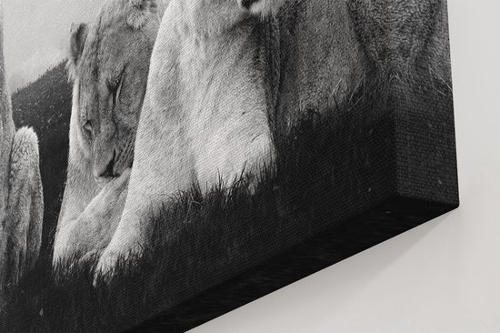 Artaza - Peinture sur Toile - Famille de Lions en Afrique - Lion - Zwart Wit - 120x80 - Groot - Photo sur Toile - Impression sur Toile