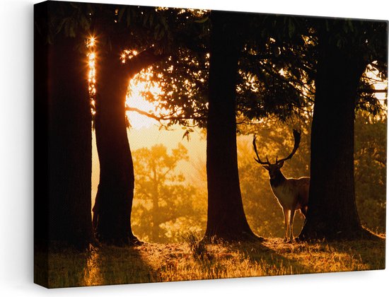 Artaza Canvas Schilderij Hert in de Bossen bij Zonsopkomst - 60x40 - Foto Op Canvas - Canvas Print