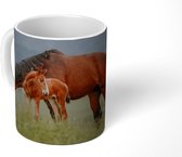 Mok - Paarden - Veulen - Natuur - 350 ML - Beker - Uitdeelcadeautjes