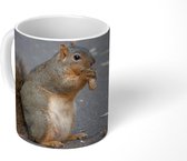 Mok - Eekhoorn met noot - 350 ML - Beker - Uitdeelcadeautjes