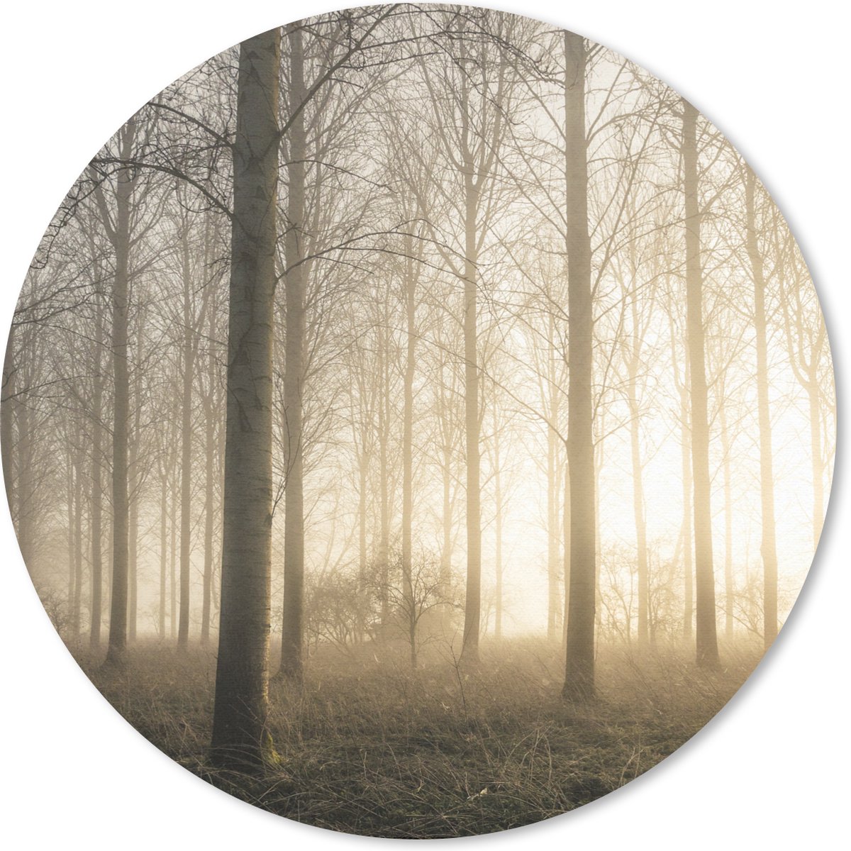 Muismat rond 40x40 cm - Mousepad Bos - Zon - Mist - Ronde muismatten