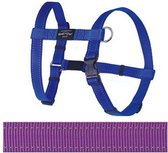 Rogz For Dogs Fanbelt Hondentuig - Paars - 20 mm x 45-75 cm