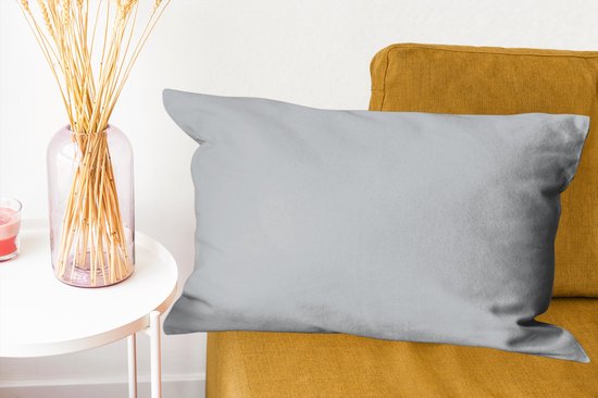 Coussins Coussins décoratifs - Oreillers Salon - 60x40 cm - Intérieur - Grijs - Clair