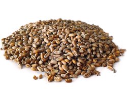 Tarwe 2,5KG | Karpervissen | Partikels | Karper Aas | Karper Vissen | Karper Voer | Karper