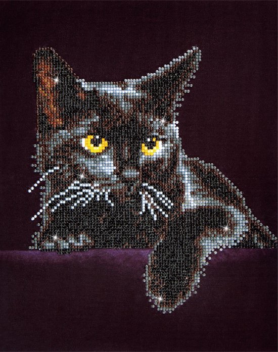 DIAMOND DOTZ Midnight Cat - Diamond Painting - 4.389 Dotz - 36x28 cm