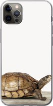 Geschikt voor iPhone 12 Pro Max hoesje - Schildpad - Jongen - Dieren - Kinderen - Meisjes - Siliconen Telefoonhoesje