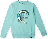 O'Neill Sweatshirts Boys CIRCLE SURFER MULTI CREW Aqua Spalsh 104 - Aqua Spalsh 85% Cotton, 15% Recycled Polyester