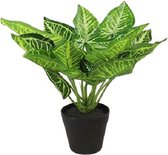 kunstplant Calathea S 25 x 25 cm zijde groen/zwart
