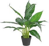 kunstplant Dieffenbachia 45 x 70 cm groen