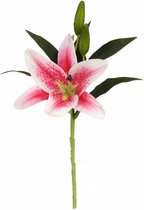 kunstbloem Vara Lilium 13 x 17 x 43 cm fucshia/groen