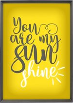 lightbox A4 23 x 31,5 cm hout zwart 6-delig