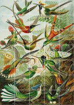 IXXI Hummingbirds - Wanddecoratie - 140 x 100 cm