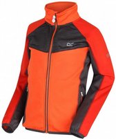 softshell jack Oberon junior polyester oranje/grijs mt 110-116