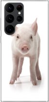 Telefoonhoesje Geschikt voor Samsung Galaxy S22 Ultra hoesje - Varken - Dieren - Wit - Siliconen Telefoonhoesje