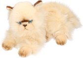Pluche Persische katten knuffel 30 cm