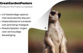 Schuttingposter Stokstaartje - Dier - Wild - 100x200 cm - Tuindoek