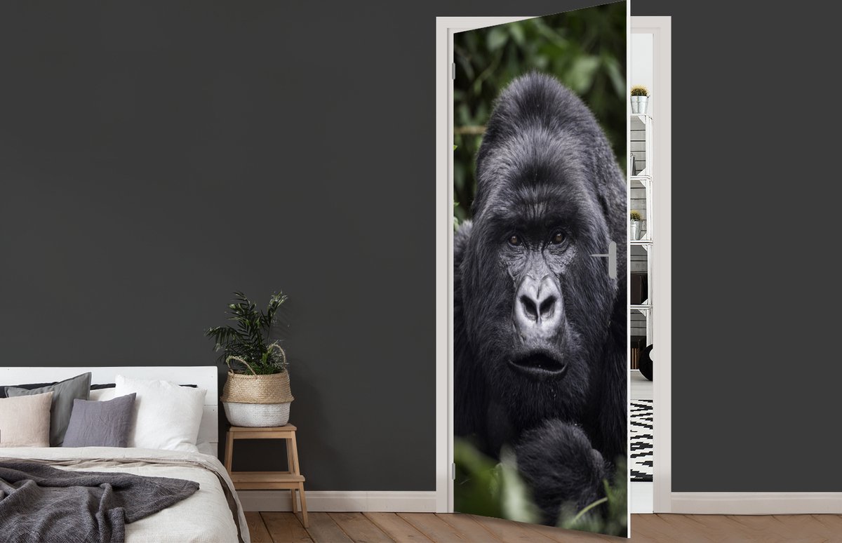 Afbeelding van product StickerSnake  Deursticker Gorilla kijkt met zijn parelachtige ogen in de camera - 90x215 cm - Deurposter