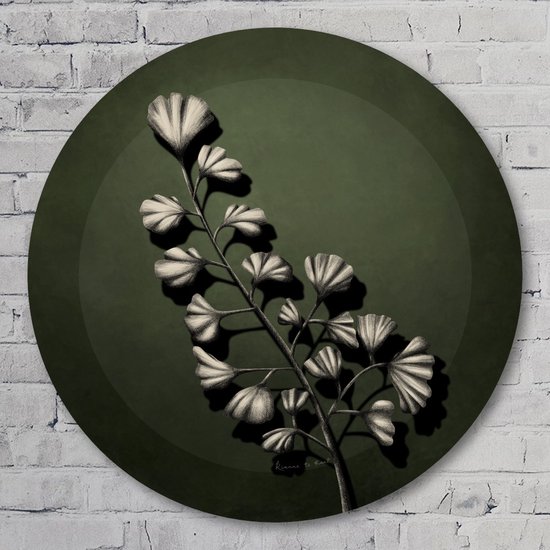 3D muurcirkel - Olijfgroen - 40 cm Forex Muurcirkel - Bloemen en Planten - Wanddecoratie - Rond Schilderij - Wandcirkel