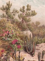 IXXI Euphorbiaceen - Wanddecoratie - Bloemen en Planten - 60 x 80 cm