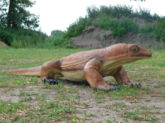 Ligstoel, natuurlijke hagedis, groot