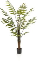 Kunstplant - Rumohra Adiantiformis - Ledervaren - 150 cm