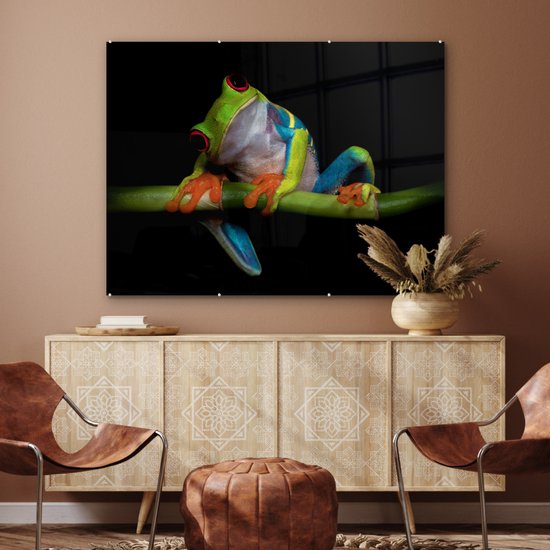 Peinture sur verre - Grenouille - Animaux - Vert - Oranje - Rouge - Photo sur verre - Peinture sur verre - 120x90 cm - Décoration murale