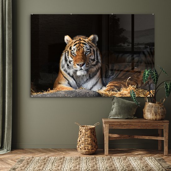 MuchoWow® Peinture sur verre 180x120 cm - Peinture sur verre acrylique - Tigre - Paille - Ombre - Photo sur verre - Peintures