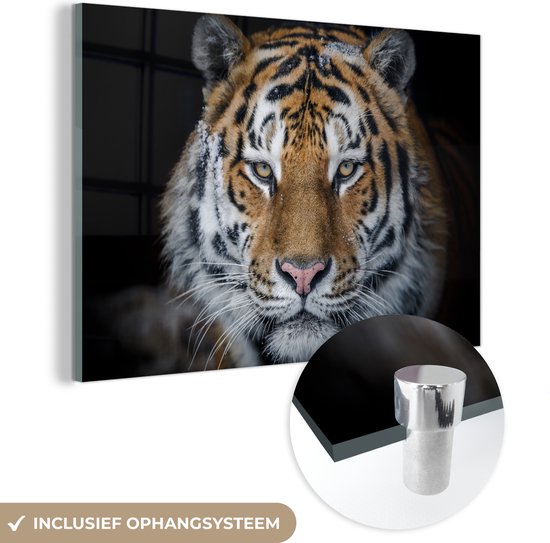 MuchoWow® Peinture sur verre 90x60 cm - Peinture sur verre acrylique - Tigre - Neige - Zwart - Photo sur verre - Peintures