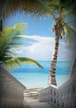 Fotobehang - Vlies Behang - Trap naar het Tropische Strand met Palmbomen - 254 x 184 cm