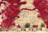 Fotobehang - Vlies Behang - Bougainvillea Bloemen op Stenen Muur - 416 x 254 cm