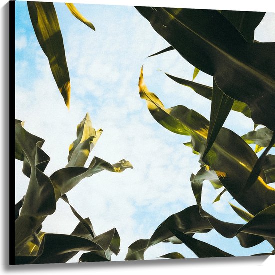 Canvas - Lucht - Wolken - Plant - Bladeren - Kleuren - 100x100 cm Foto op Canvas Schilderij (Wanddecoratie op Canvas)