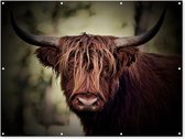 Muurdecoratie buiten Schotse hooglander - Licht - Portret - Natuur - 160x120 cm - Tuindoek - Buitenposter