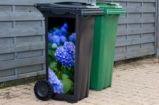 Autocollant pour contenant Gros plan sur des fleurs d'hortensia bleues - 38 x 80 cm - Autocollant Kliko