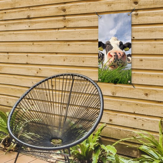 Poster de jardin Vache - Ferme - Herbe - Animaux - 30x60 cm - Toile jardin - Poster extérieur