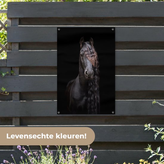 Portrait d'un cheval frison sur fond noir affiche de jardin toile en vrac 60x90 cm - Toile de jardin / Toile d'extérieur / Peintures d'extérieur (décoration de jardin)